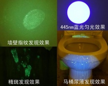 上海大栩祥光电科技有限公司--体视显微镜 金相显微镜 生物显微镜 文