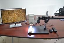 首页 产品展示 >  光学显微镜主机及软件综合功能:     该款高清视频